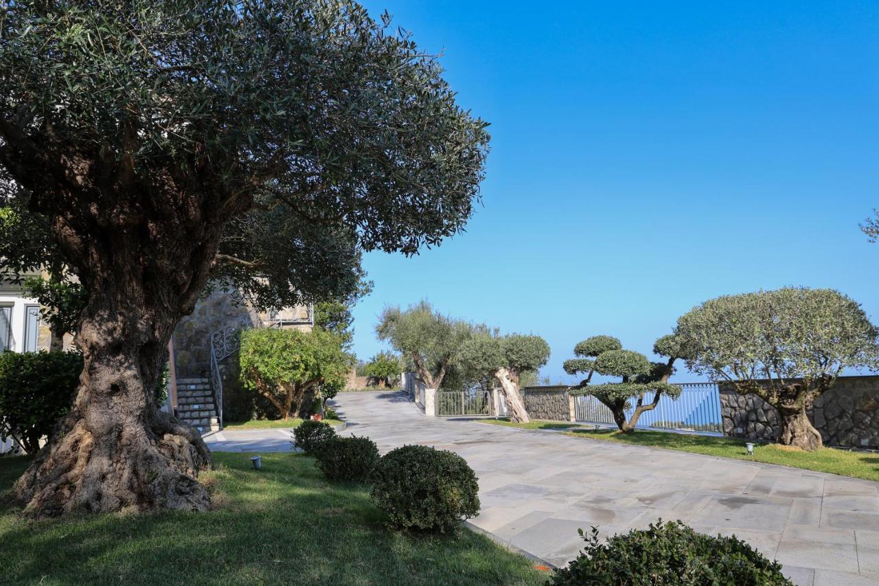 Villa Italia Sorrento Termini Zewnętrze zdjęcie